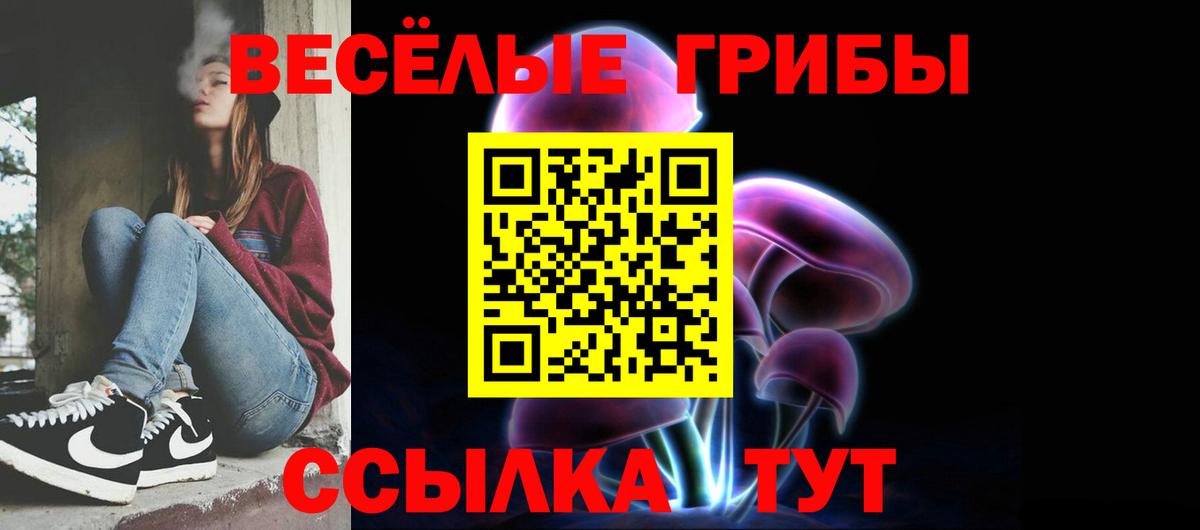Псилоцибиновые грибы прущие грибы  наркота  Котлас  Вход с VPN 